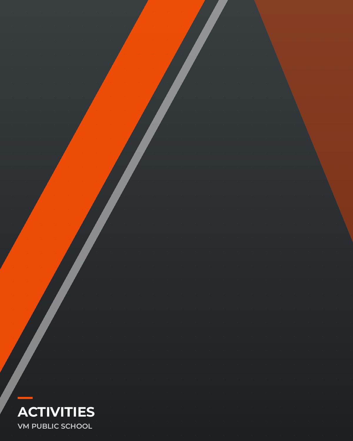 Activities at VMPS